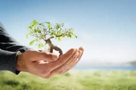 Remediação Ambiental